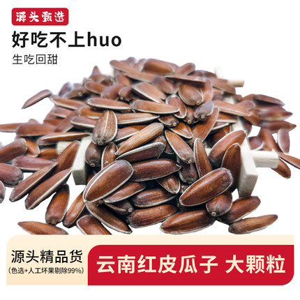 云南红皮瓜子新货2025年大颗红壳粒葵花籽晋宁特产甜糯回甜原味