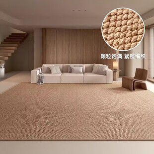 仿剑麻客厅地毯纯色防水高级感拍照沙发复古菠萝圈床边毯家用卧室