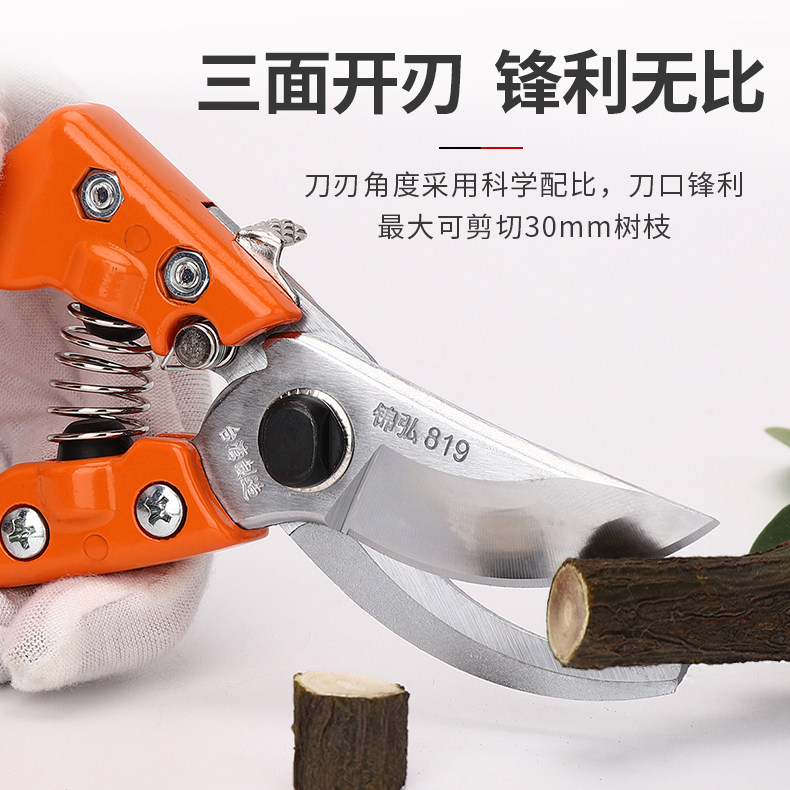 台湾进口德国不锈钢剪刀修枝剪园艺工具花艺果树剪树枝剪花木剪子
