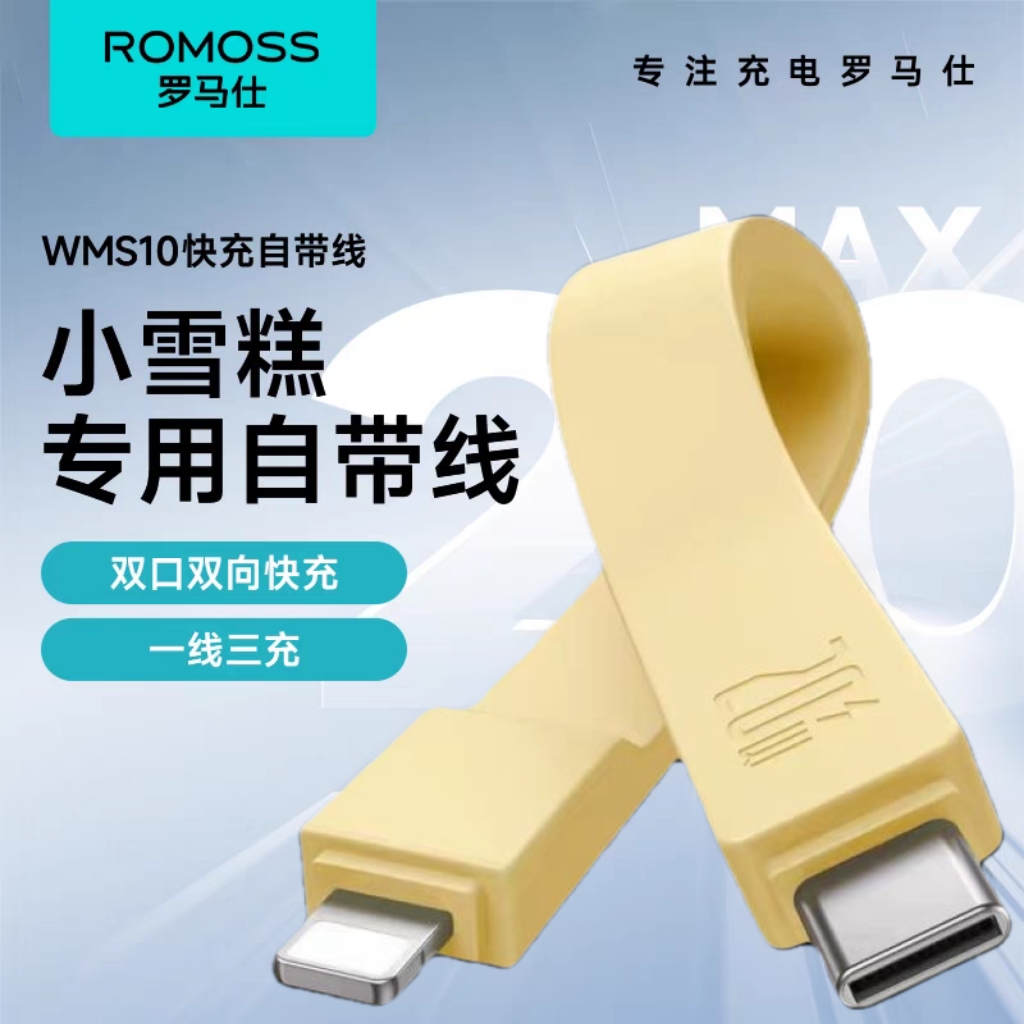 WMS10专用数据线CtoL