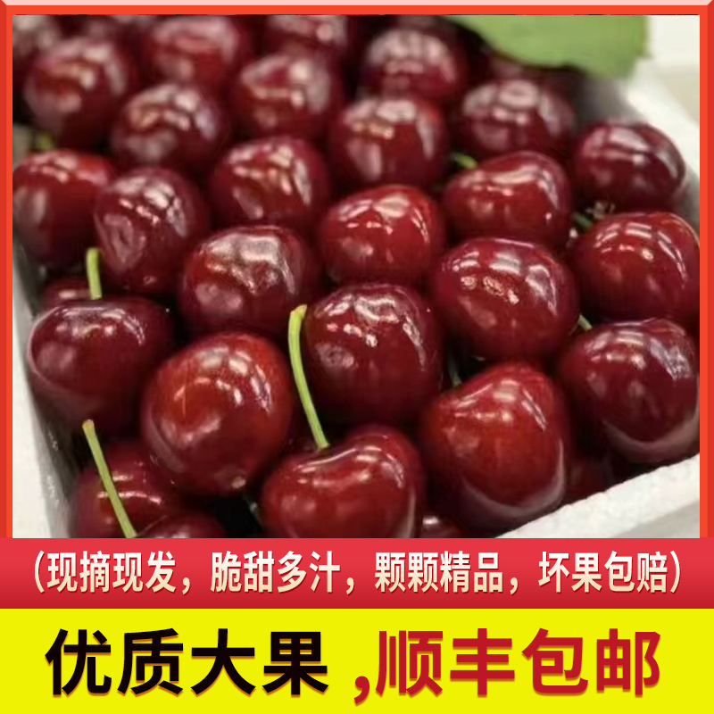 山西运城绛县美早大樱桃熟了新鲜水果黑红当季整箱国产车厘子礼品