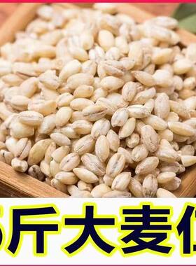 新货麦仁米农家新鲜5斤大麦仁