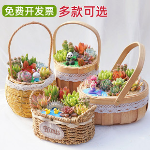 多肉植物组合盆栽含花篮含土桌面绿植花卉室内创意肉肉DIY套餐