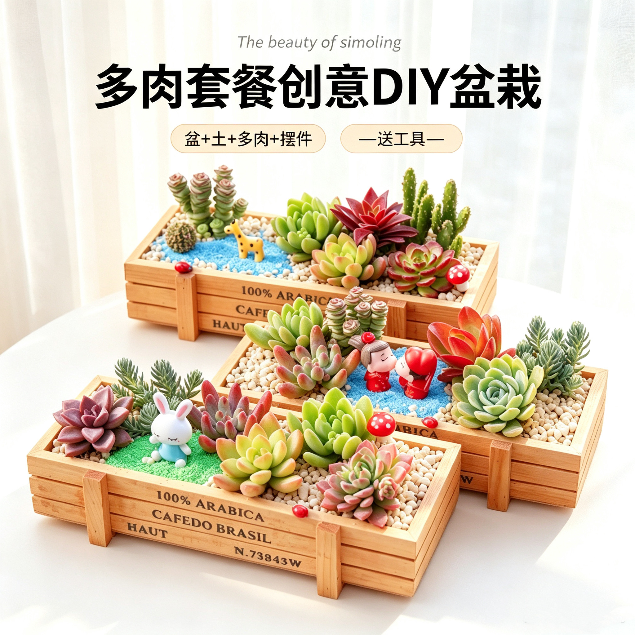 多肉植物组合盆栽桌面绿植新手