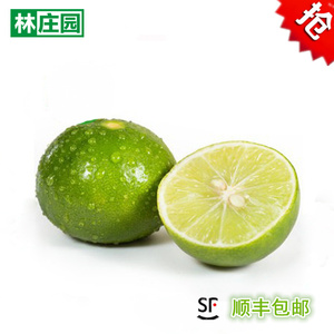 【林庄园】小青柠檬40g/个 餐厅特色香料满任5件顺丰包邮