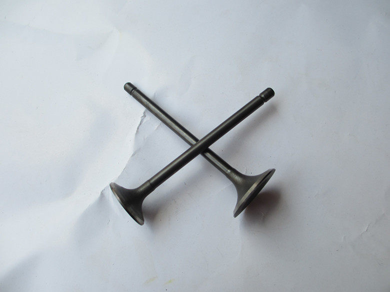 摩托车气门  光阳原厂珠峰王太子ZF150  豪爽太子CG150  气门一副