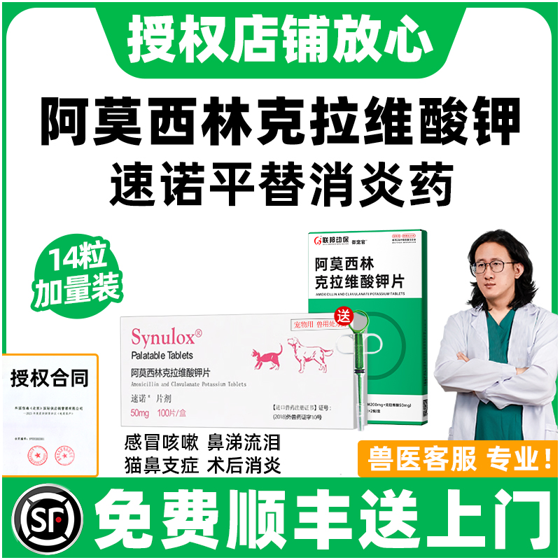 顺丰上门|阿莫西林克拉维酸钾猫