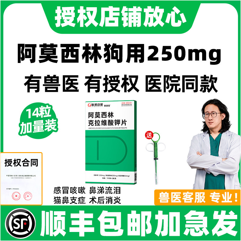 阿莫西林克拉维酸钾片猫宠物消炎片250mg狗狗消炎药皮肤泌尿