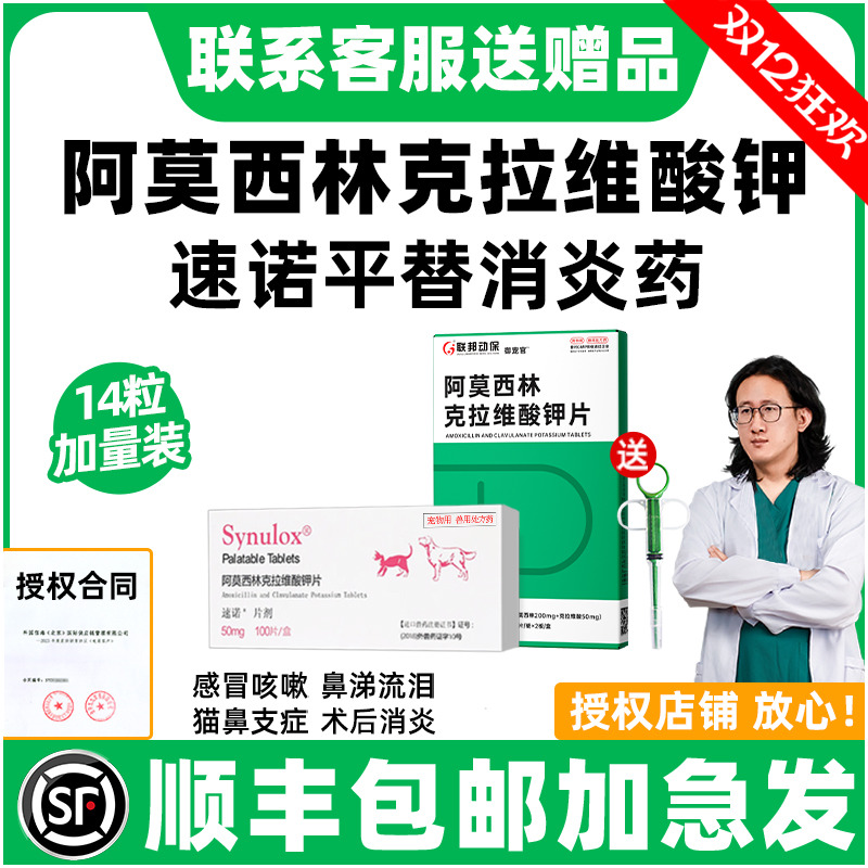 顺丰上门|阿莫西林克拉维酸钾猫