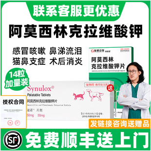 阿莫西林克拉维酸钾片猫宠物狗狗感冒药鼻支喷嚏流涕速猫诺消炎片