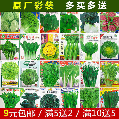 蔬菜种子农家辣椒香菜孑各种阳台春秋南北方四季青菜籽种大全 - 封面