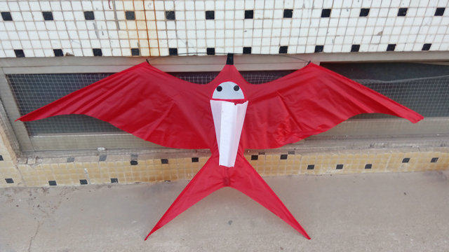 小燕子风筝  沙燕 红黑两款 外贸产品 伞布碳杆 微风儿童风筝,运动/瑜伽/健身/球迷用品,风筝,淘宝优惠券,粉丝福利购,淘宝优惠卷