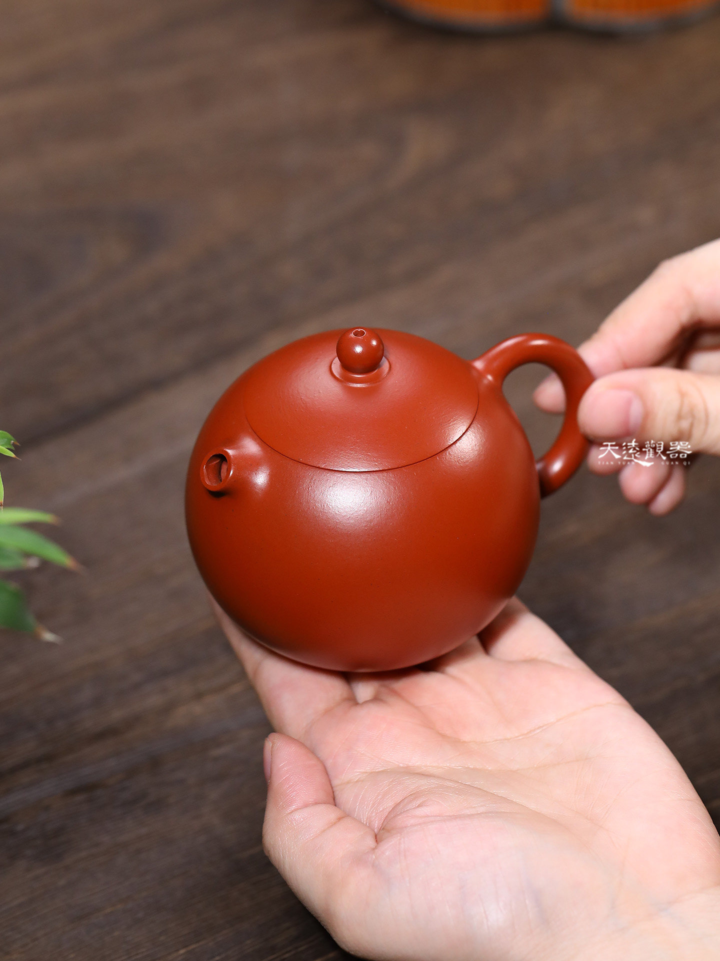 宜兴纯全手工紫砂壶朱泥大红袍内推球孔河豚西施壶家用龙蛋泡茶壶
