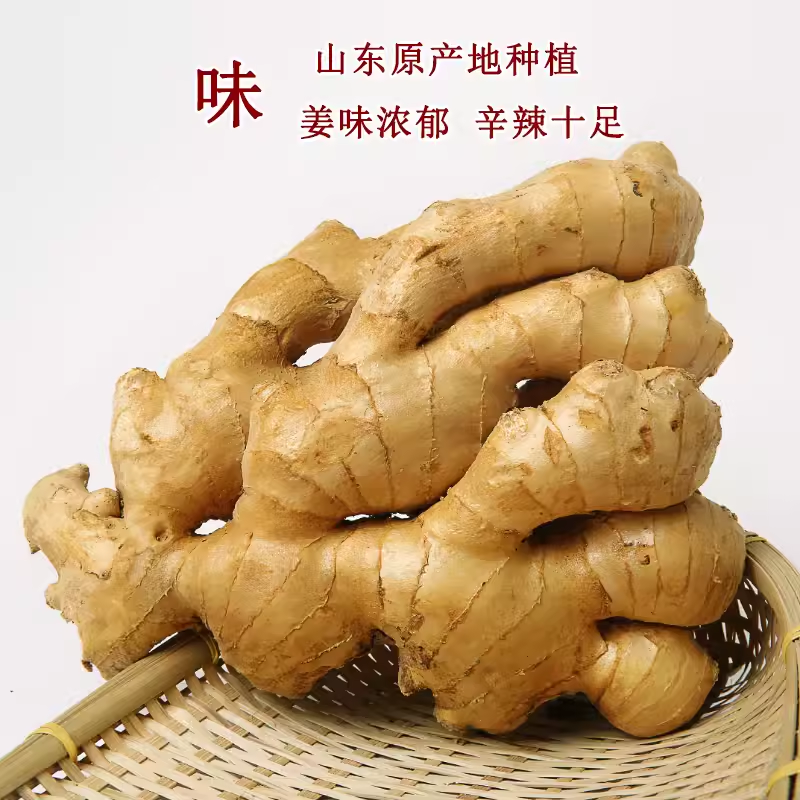 包邮新鲜现挖5斤装老姜块