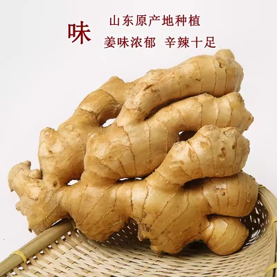 包邮新鲜现挖5斤装老姜块