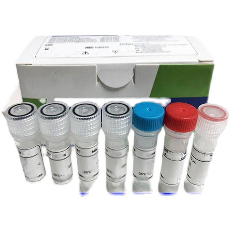 真菌（Fungus）甘露糖蛋白（Mannoprotein） ELISA检测试剂盒