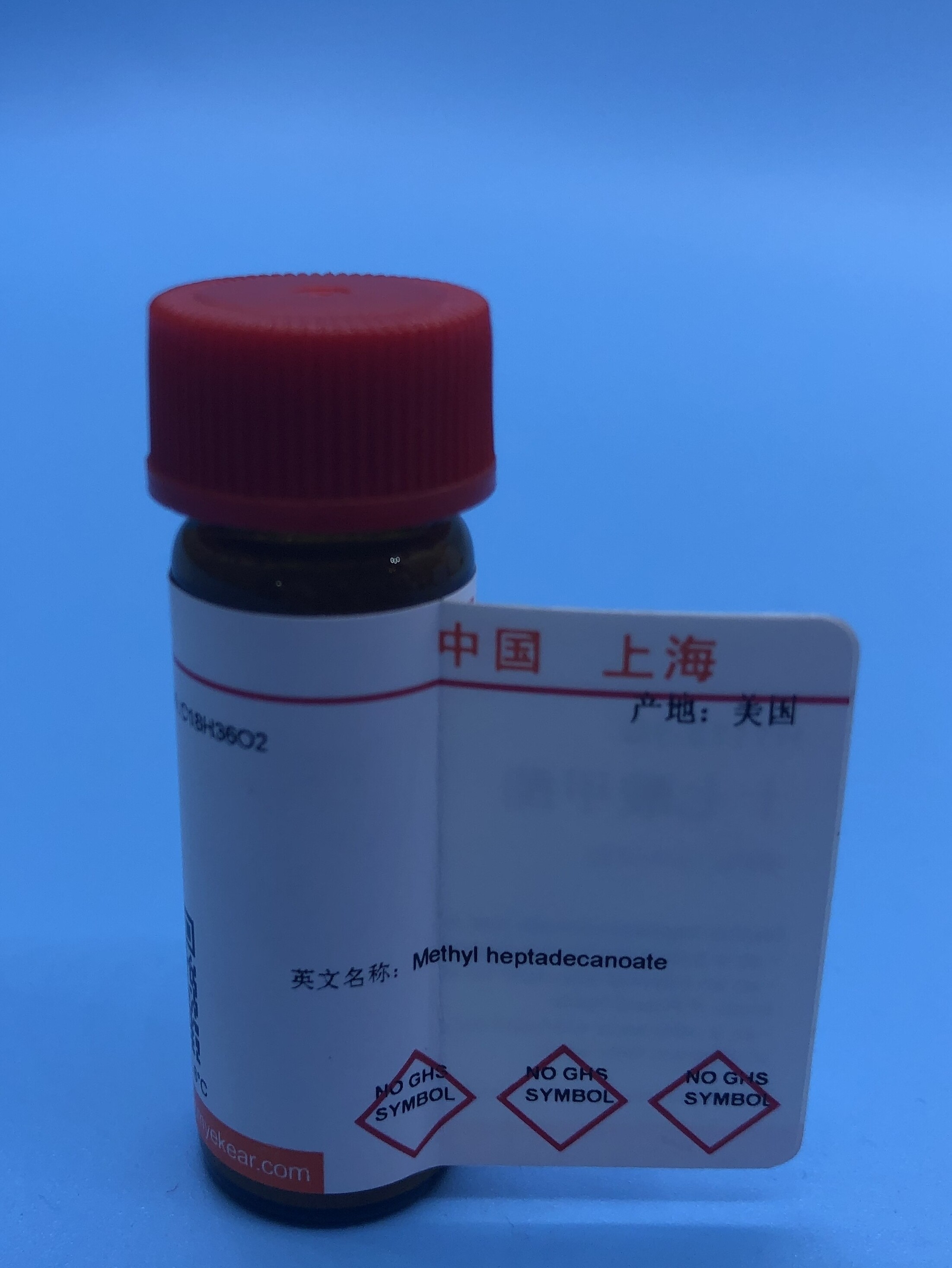 B16-F10 小鼠黑色素瘤细胞