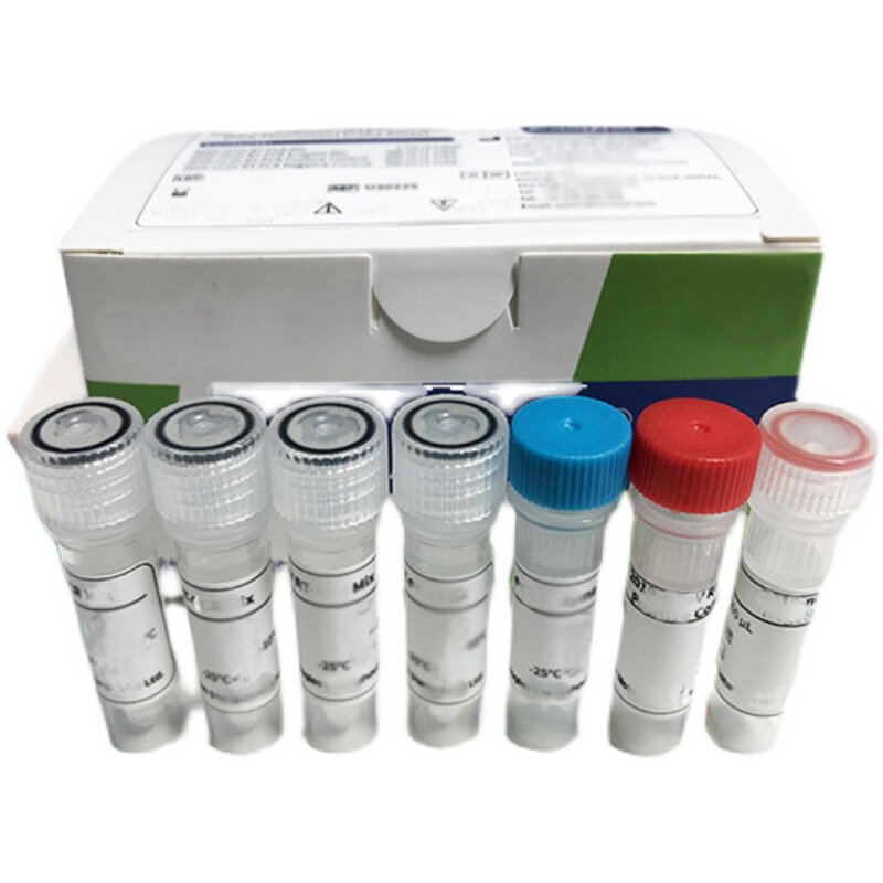 UDPG 焦磷酸化酶（UGP）活性检测试剂盒  紫外分光光度法