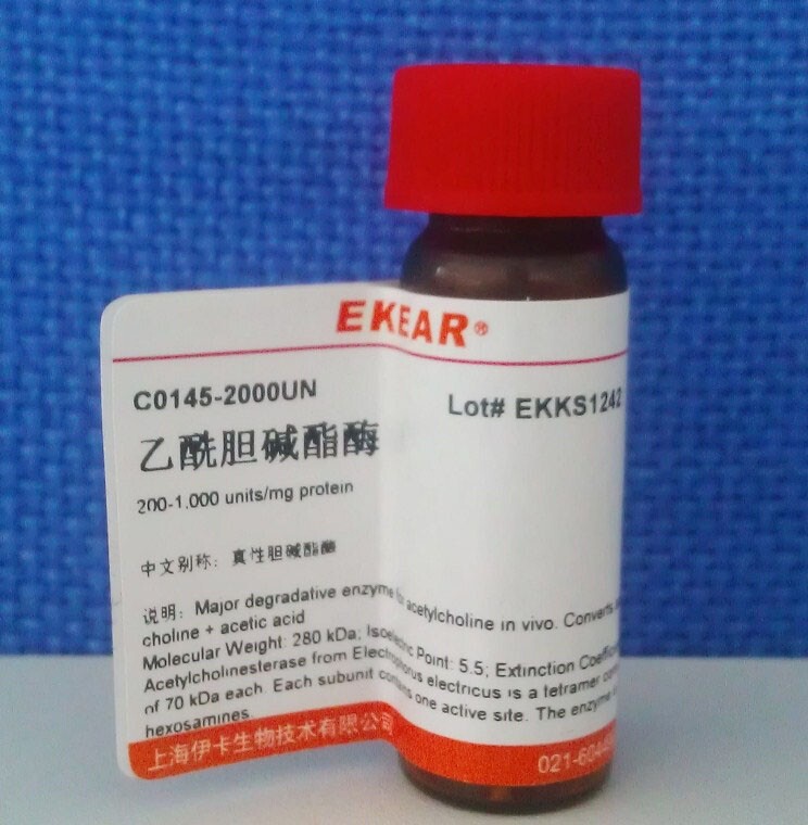 乙酰胆碱酯酶/AcetylcholinesteraseAChE/ 500UN/CAS: 9000-81-1