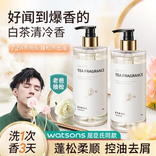古势白茶香氛洗发水氨基酸持久留香控油去屑止痒净螨无硅油洗头膏