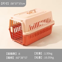 Оранжевый (с прокладкой мочи)