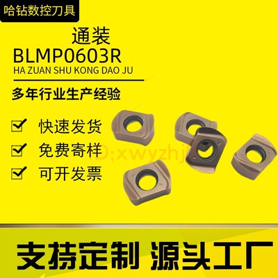 BLMP0904R/BLMP0603R数控铣刀