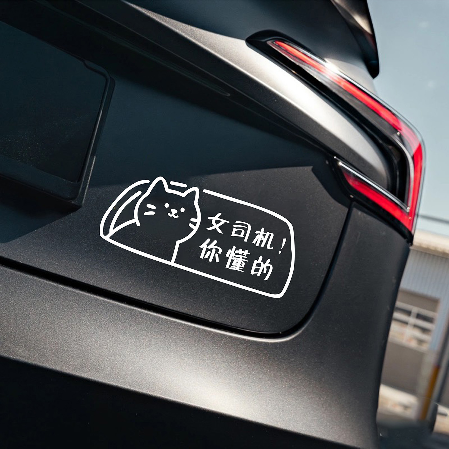 女司机你懂的提示文字车贴