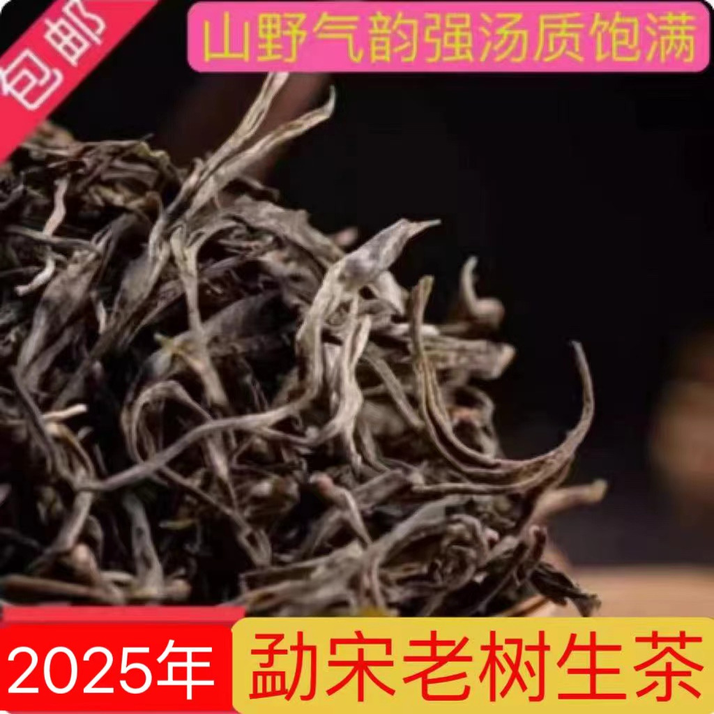 2025年春茶云南大叶种晒青茶生