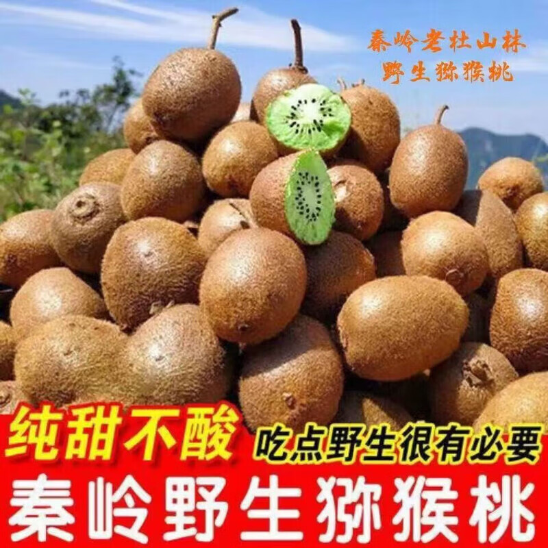 野生猕猴桃陕西秦岭泡酒猕猴桃绿心特小果硬式猕猴桃新鲜孕妇水果