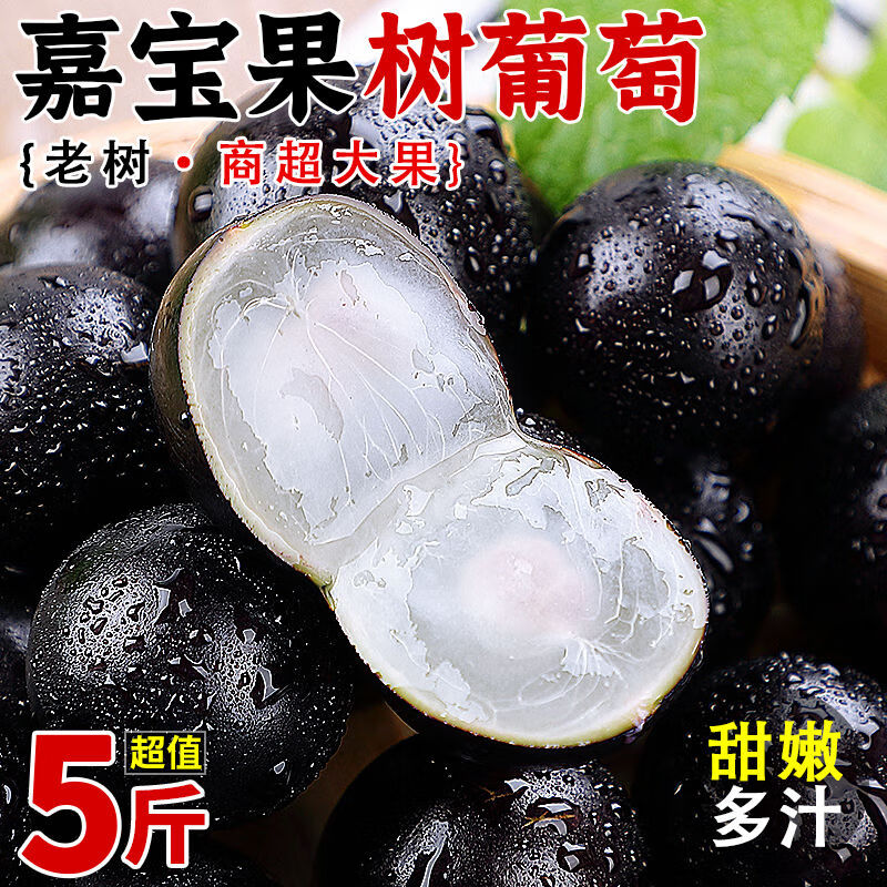 【顺丰冷链】云南嘉宝果树葡萄沙巴嘉宝果果子新鲜罕见稀罕水果