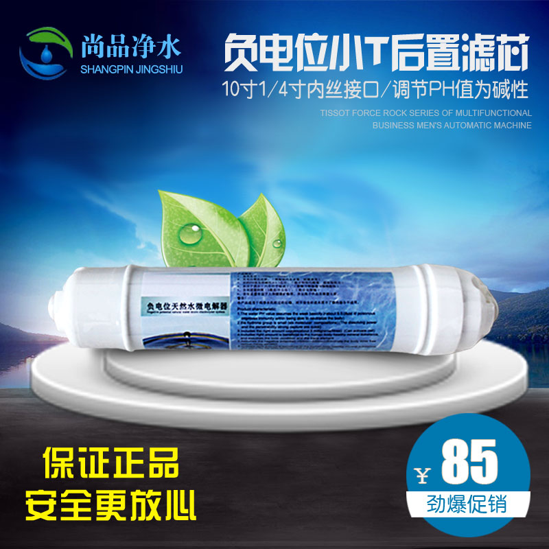 负电位碱性小T33后置滤芯/RO反渗透纯水机/过滤器/净水器用