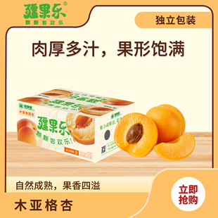 新疆喀什疏附县的木亚格杏 4斤装  果香浓郁饱满多汁 疆果乐杏子