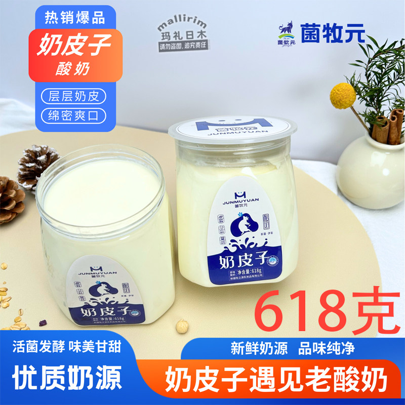 新疆伊犁热销奶皮子酸奶 菌牧元 层层奶皮活菌发酵味美甘甜 618g