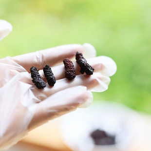 水果干 配料就桑葚 水果茶零食无防腐不熏硫150克 桑葚干 老饶家