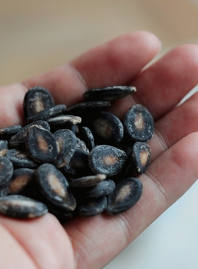 老饶家丨水煮西瓜子 日晒好嗑 茴香味茶饮小食 新货 建瓯瓜子300g