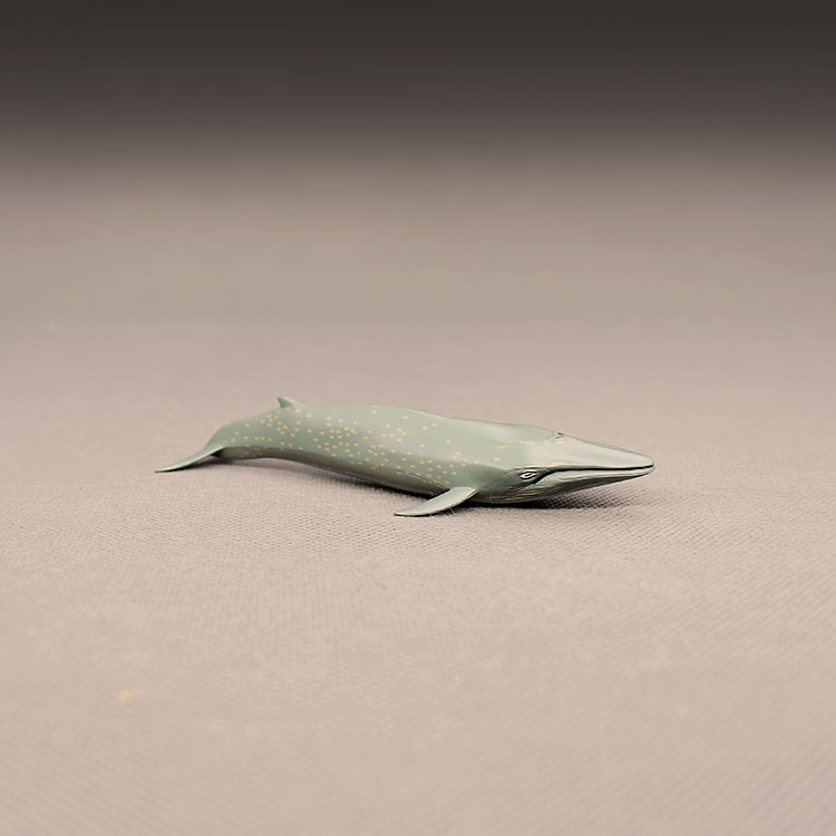 海洋动物蓝鲸鲸鱼塑料认知玩具