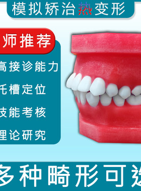 牙科牙齿模型可变形红蜡托槽弓丝
