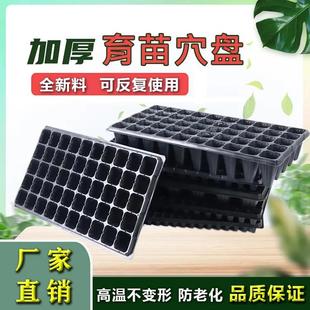 育苗盘育苗盆穴盘塑料杯种植营养钵蔬菜育种扦插盒农用托盘盆