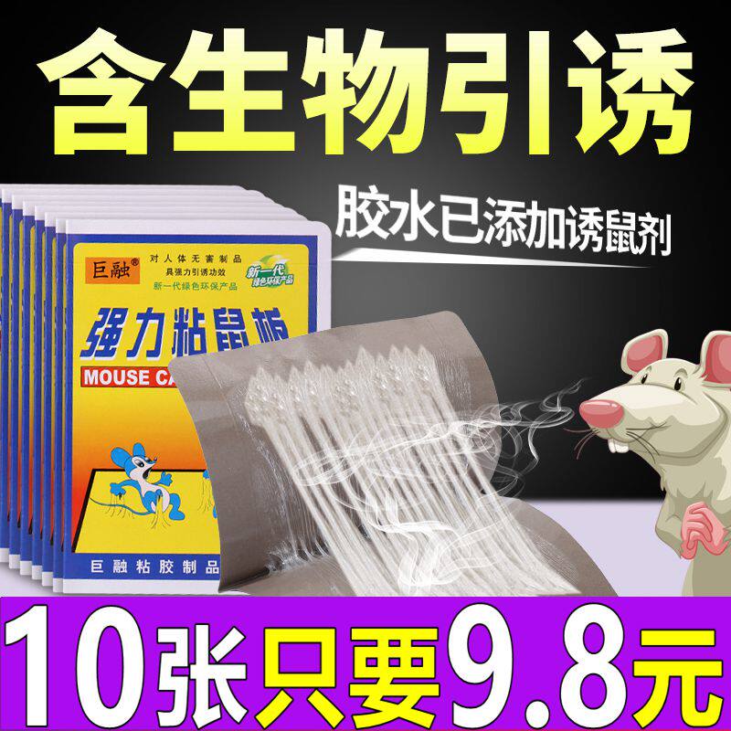 加大巨融老鼠物理超强力粘鼠板