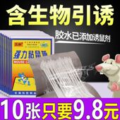 粘鼠板老鼠贴强力捕鼠器强粘胶老鼠板驱鼠灭鼠神器耗子一窝端家用