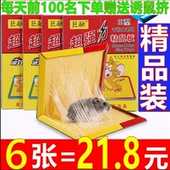巨融老鼠贴强力粘鼠板抓粘大老鼠粘鼠胶家用正品 驱捕鼠神器一窝端