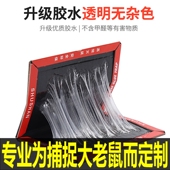 10张老鼠贴超强力粘鼠板抓大老鼠夹扑捉灭鼠胶沾正品 家用捕鼠神器