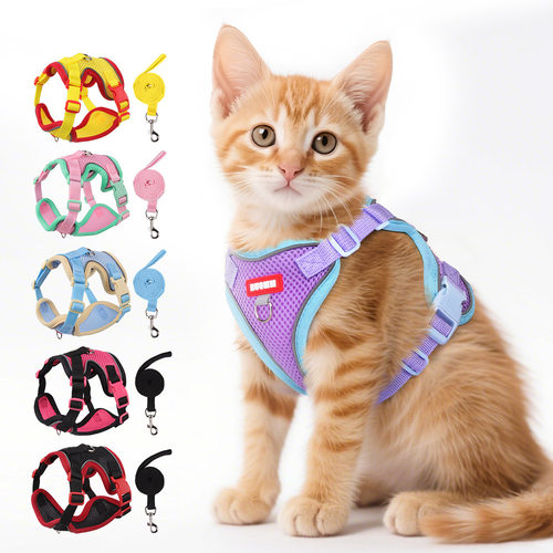 Cat Harness Dog Harness and Leash for Walking 猫小型犬牵引绳