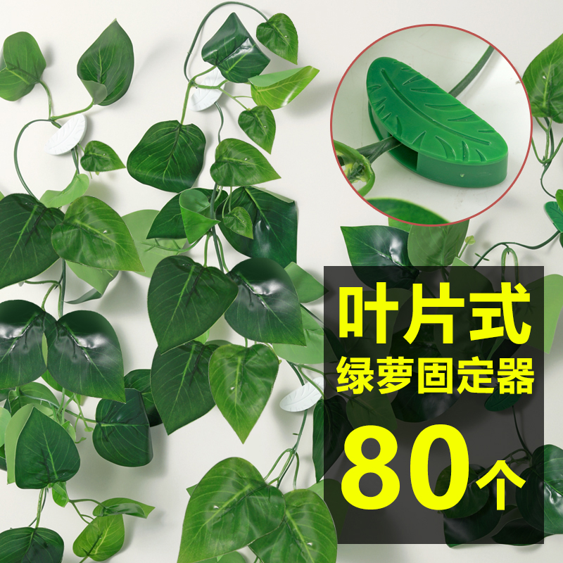 绿萝藤蔓植物固定器通用