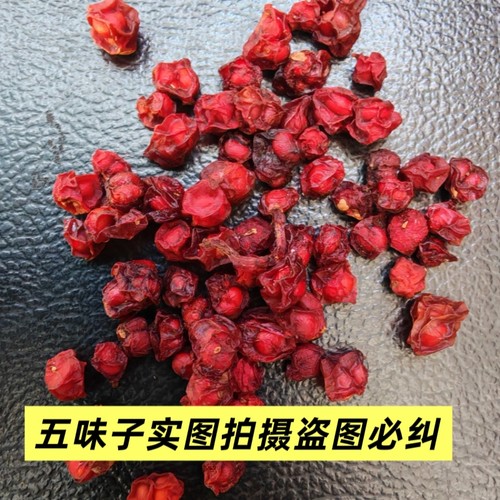 东北长白山中药材五味子野生