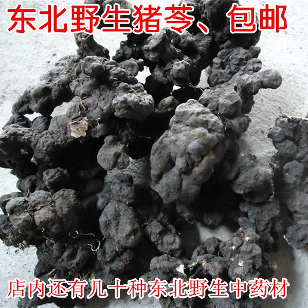 东北特产野生中药材 猪苓500克 长白山脉深山中的猪苓菌 包邮