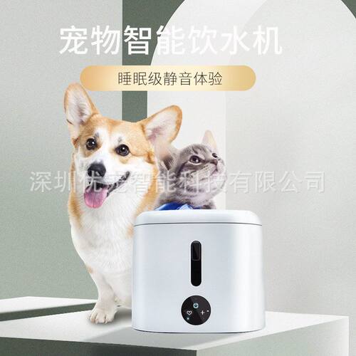 干烧带涂鸦AP饮水机宠物猫屏智能