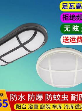壁灯防潮车库LED户外楼道浴室防爆灯地下高档门口长形ip65防水