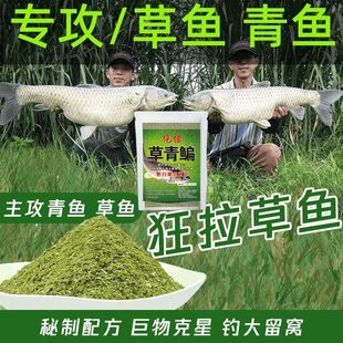 草鱼专用饵料野钓黑坑野河水库专攻大青巨草鳊鱼钓饵爆炸钩打窝料