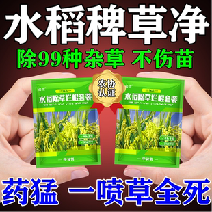 水稻田苗后除草专用剂不伤苗稗草千金子莎草直播田旱稻通用除草剂
